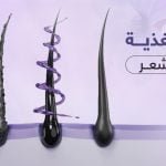 منتجات تغذية الشعر… حافظي على صحة شعرك لوقت طويل