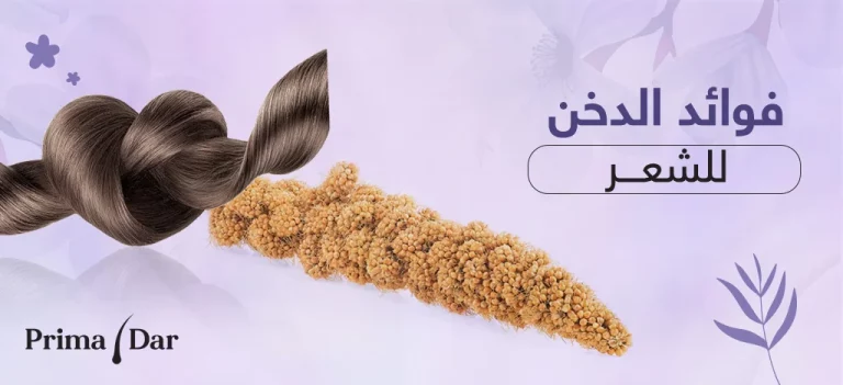 فوائد بذور الدخن للشعر اكبر فوائد الدخن للمتزوجين