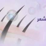 تقوية بصيلات الشعر: استراتيجيات فعّالة لشعر أقوى وأكثر كثافة