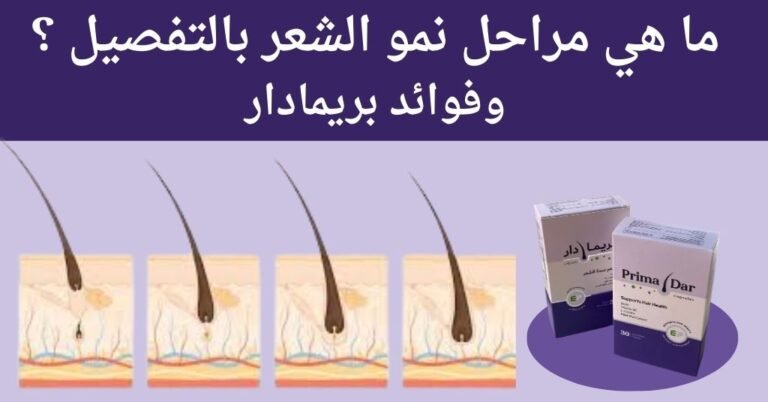 مراحل نمو الشعر : افهمي 4 خطوات مهمة لكل مرحلة بدقة 6 ما هي مراحل نمو الشعر بالتفصيل؟