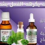 زيت يكرهه القمل بشدة