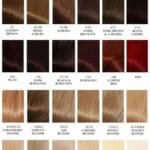 الوان حنة الشعر 9 أسرار مذهلة يخفيها 92% من الخبراء