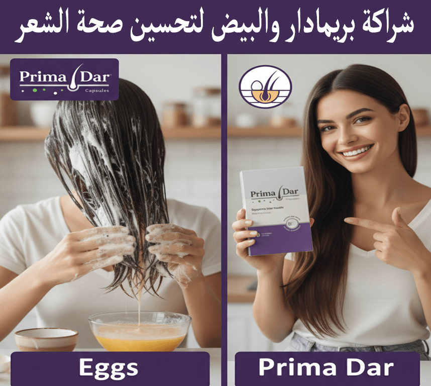 ماسك البيض للشعر : 5 أسرار خفية لتحويل شعرك بـ 3 أشهر 3 شراكة بريمادار والبيض لتحسين صحة الشعر
