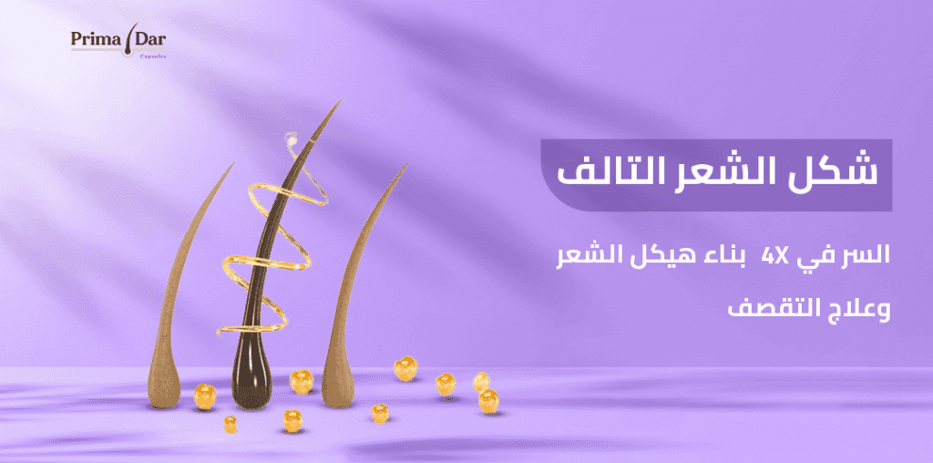 شكل الشعر التالف السر في 4X بناء هيكل الشعر وعلاج التقصف