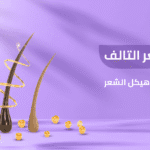 شكل الشعر التالف السر في 4X بناء هيكل الشعر وعلاج التقصف