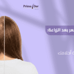 مراحل نمو الشعر بعد الزراعة _ 12 شهرًا لاستعادة كثافة أحلامك!